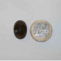 Smoky Quartz Faceted Cabochons