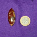 Picture Jasper Cabochons