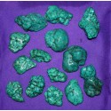 Turquoise "Nugget " Cabochons