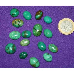 Turquoise Small Cabochons