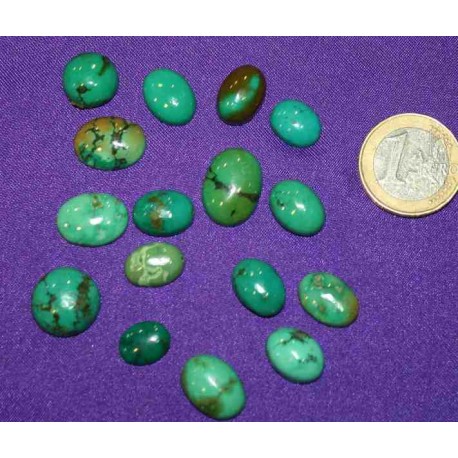 Turquoise Small Cabochons