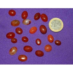 Carnelian Small Cabochons