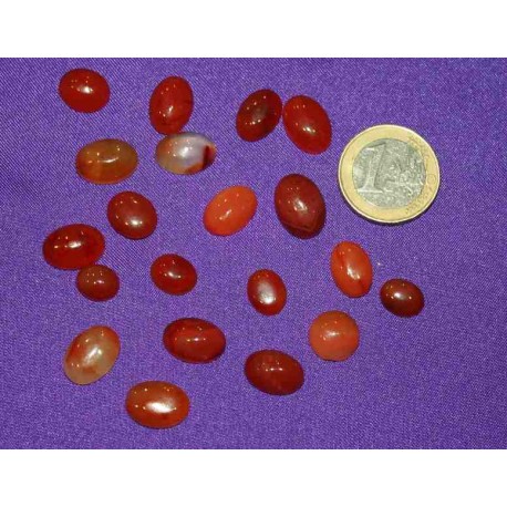 Carnelian Small Cabochons