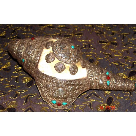 Ceremonial /decorativ Conch from Nepal