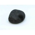 Fossil Ammonite Shaligram