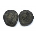 Fossil Ammonite Shaligram