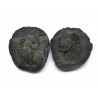 Fossil Ammonite Shaligram