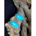 Turquoise Handmade Earring in Silver