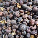 Timur / Timut Pepper from Nepal