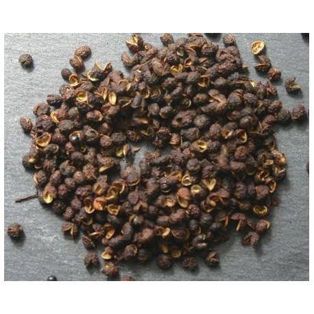 Timur / Timut Pepper from Nepal