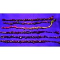 Anklet made of Silk Thread