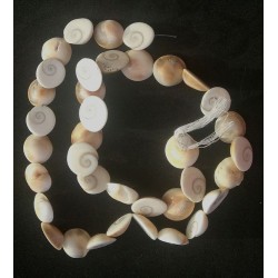 Shiva Eye shell Beads strand 49cm from India